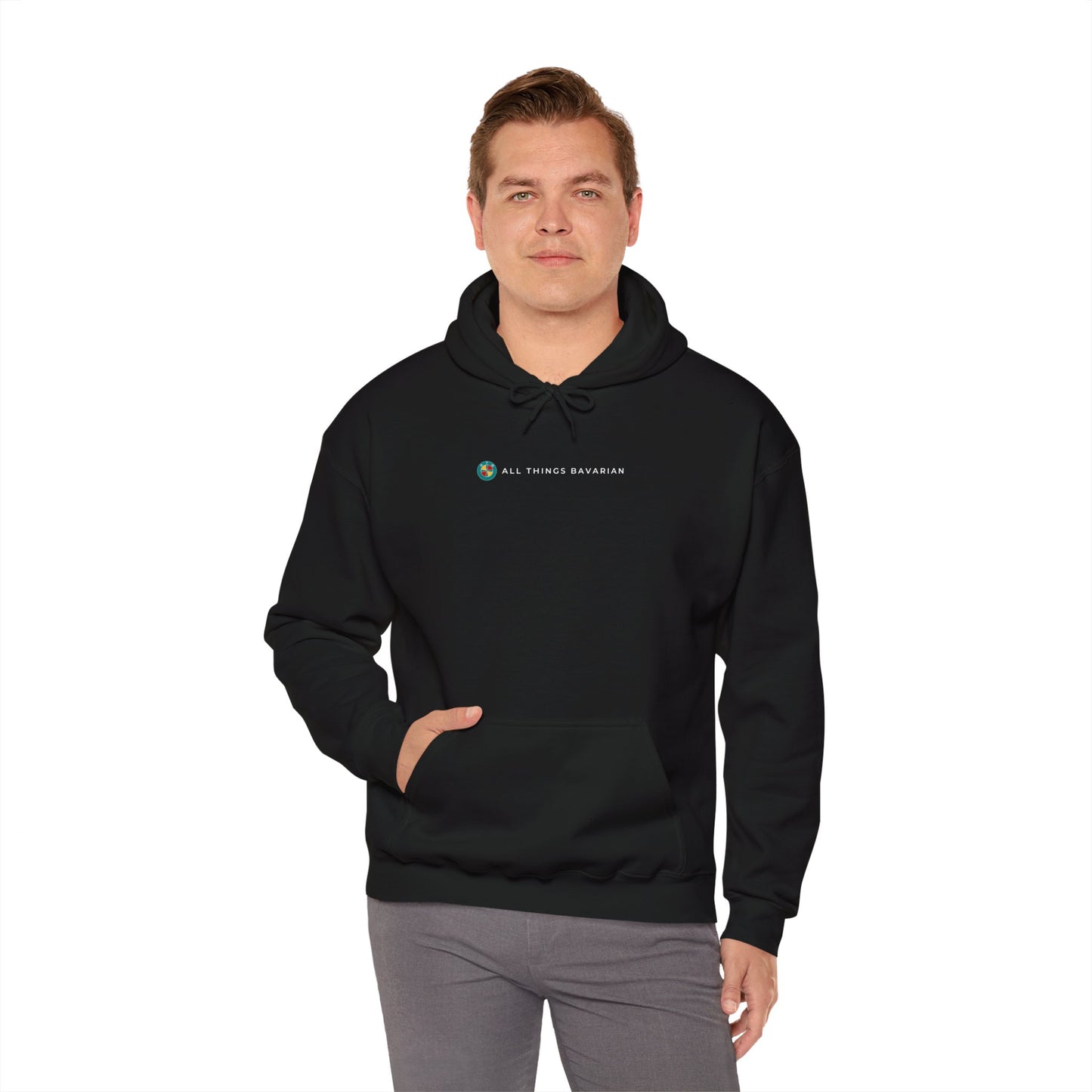 BMW e38 Steel Blue Unisex Hoodie in Black - 100% Cotton (Back graphic)